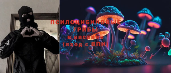 СК Дмитровск