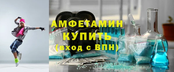 дмт Дмитров