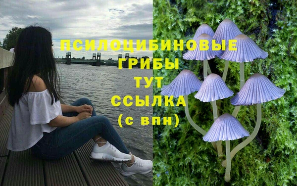 СК Дмитровск