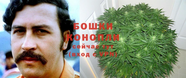 дмт Дмитров