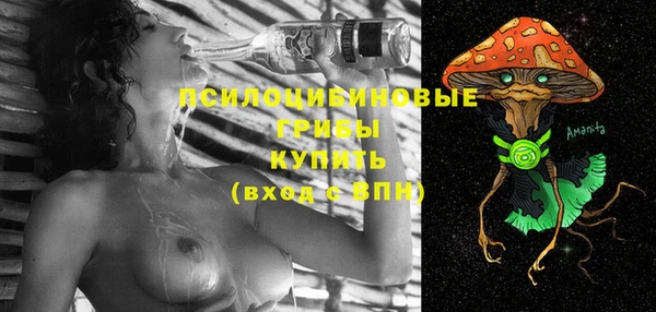 дмт Дмитров
