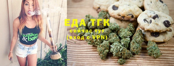 дмт Дмитров