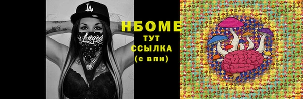 СК Дмитровск