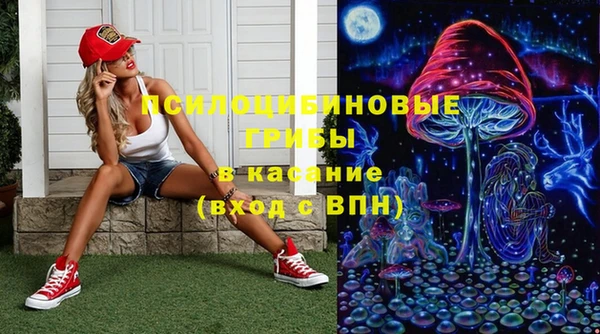 СК Дмитровск