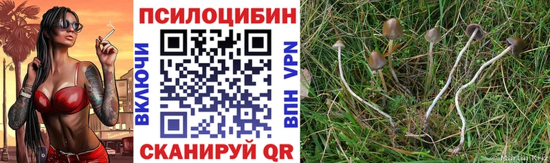 Псилоцибиновые грибы мухоморы  цены   Березники 